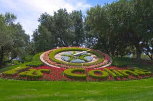 Flower Clock