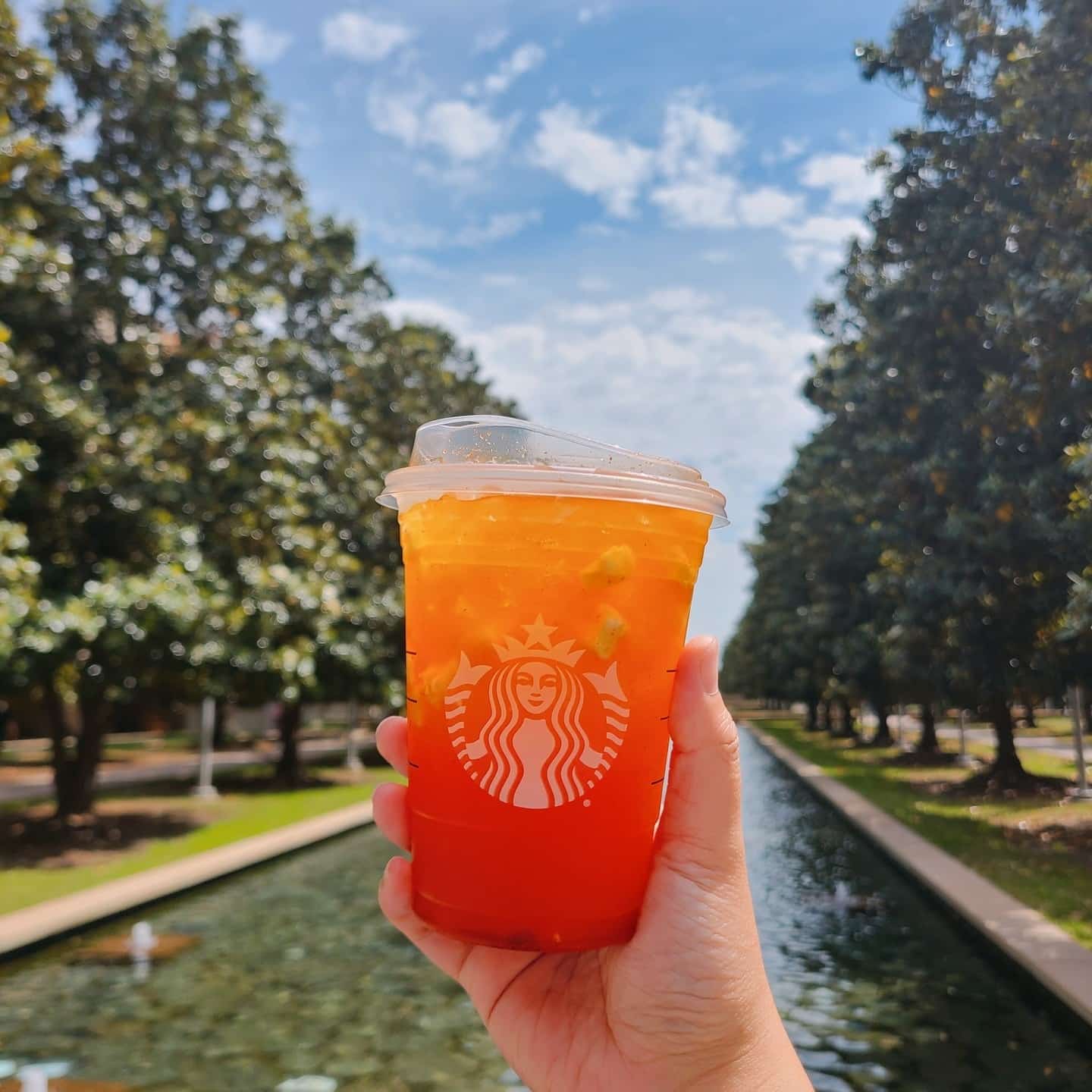 Starbucks Las Colinas Starbucks las colinas