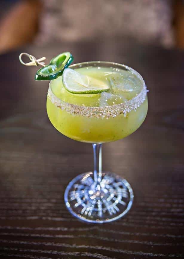 453342982_1844389716051519_4496933918758851759_n