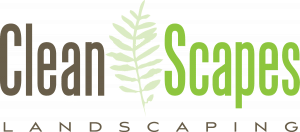 CleanScapes_Color_logo