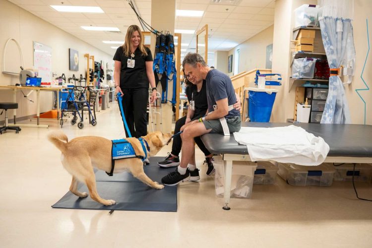 Canine Companions