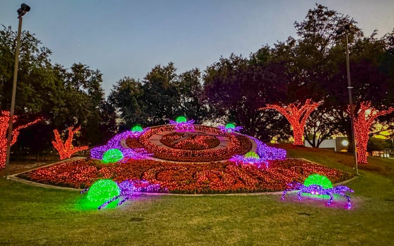 HalloweenLights-FlowerClock-5