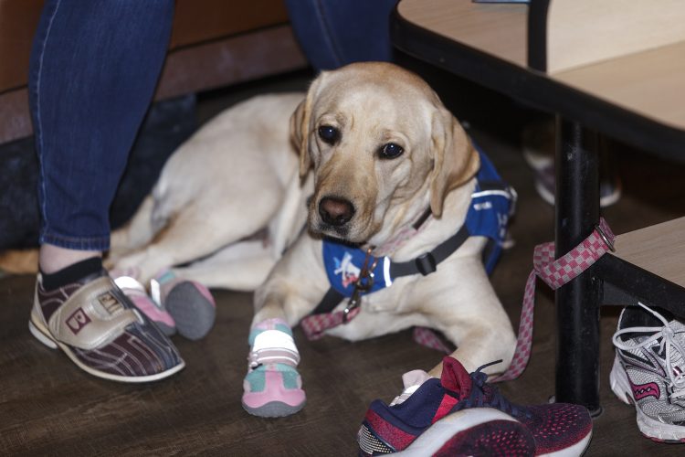 LCA_GameAThon-2025_Bowling (21 of 182)