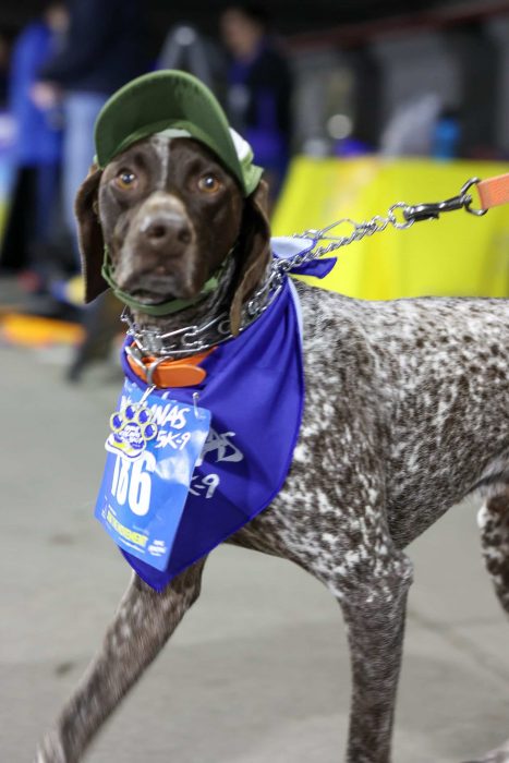 Paws Colinas 5k-9-109