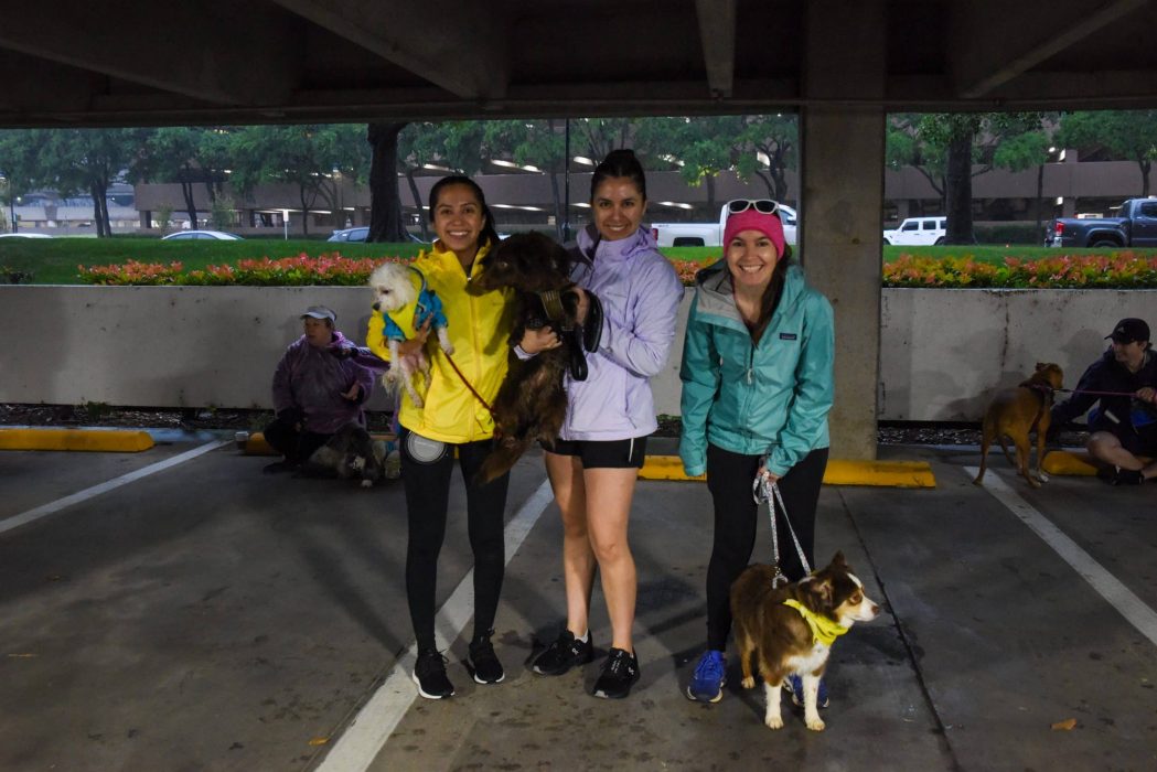 Paws Colinas 5k-9-230